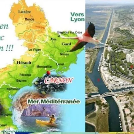 Montpellier Sud-giuseppina Junior 2 Pers-piscine Prive Aeroport Arena 2mn Semesterbostad Pérols